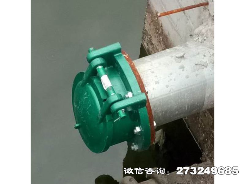 污水管道玻璃钢拍门