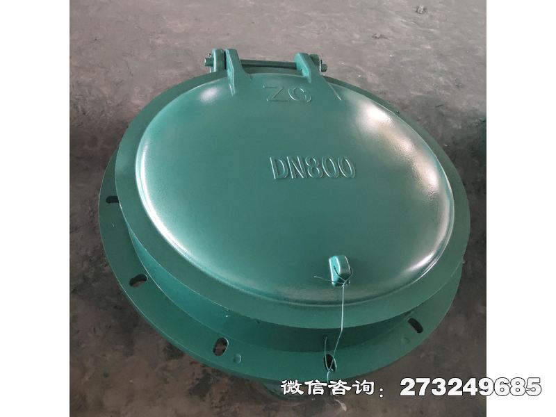 站前污水管玻璃钢拍门