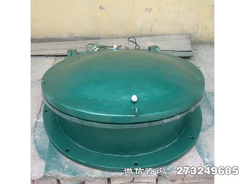 站前玻璃钢止水拍门