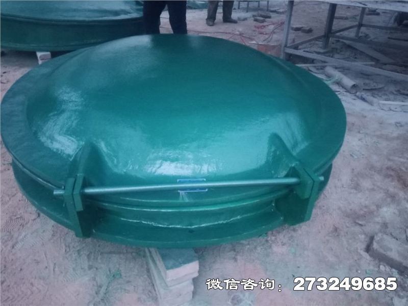站前耐腐蚀管道拍门