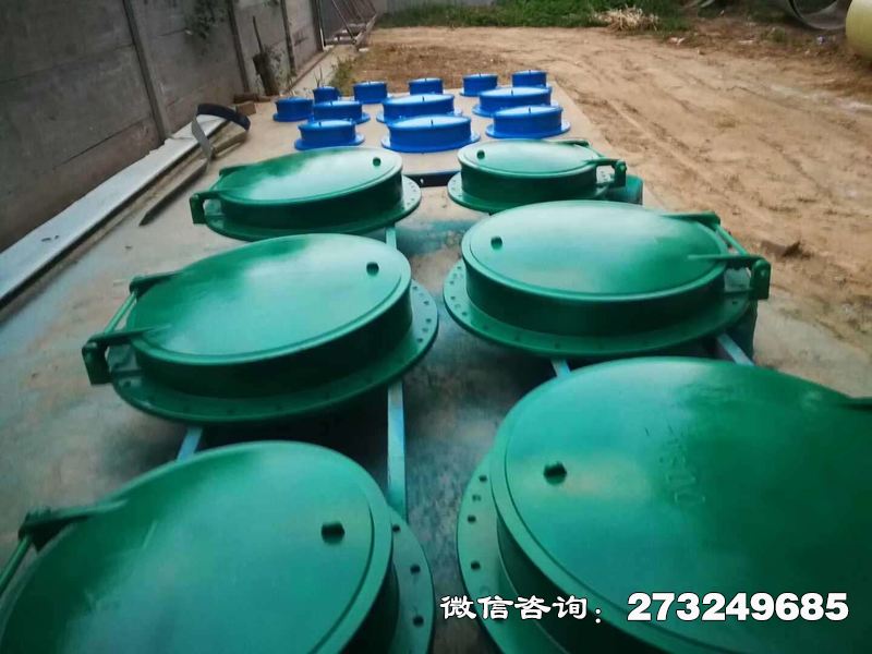 站前玻璃钢管道拍门