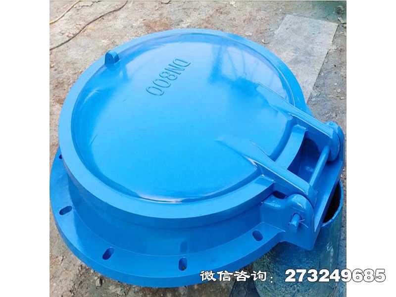 扎兰屯单向水流控制拍门