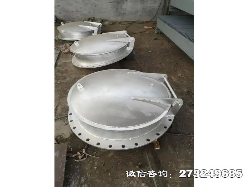 如东县防止洪水倒灌不锈钢拍门