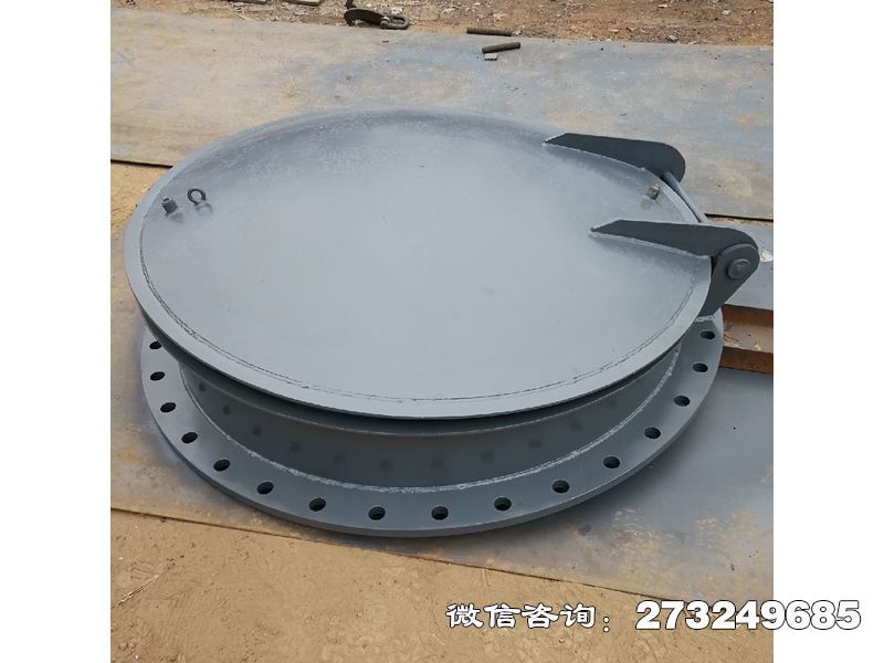如东县泵站防逆流不锈钢拍门
