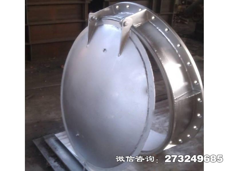 316L不锈钢拍门