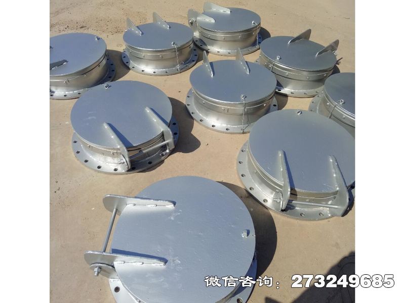 阳江防倒灌不锈钢拍门