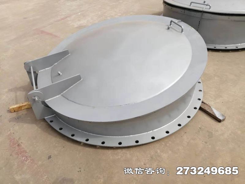 阳江不锈钢逆止拍门