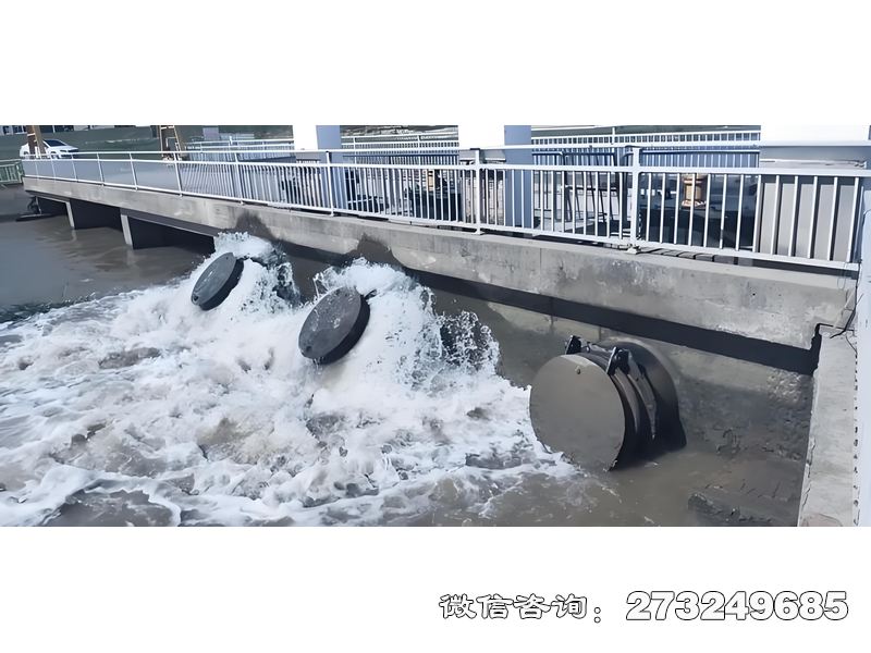 范县内河潮门拍门