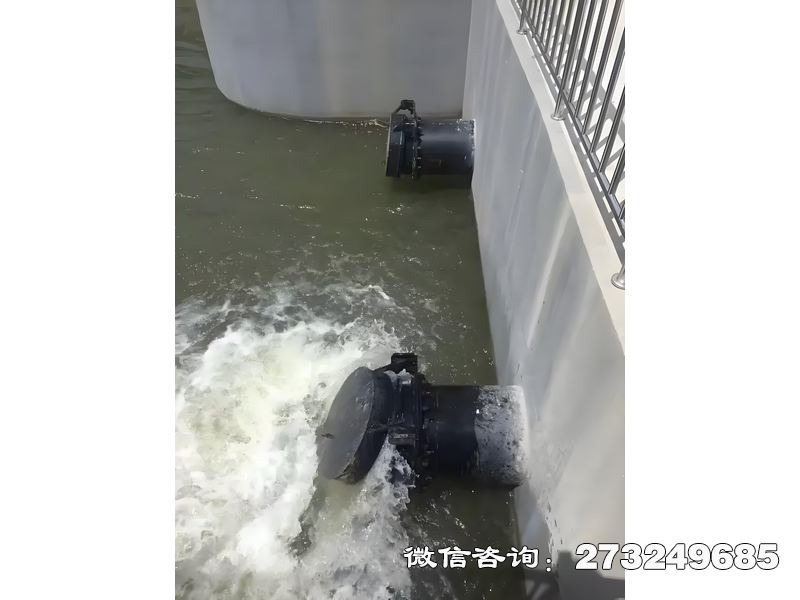 扎兰屯河道潮门拍门
