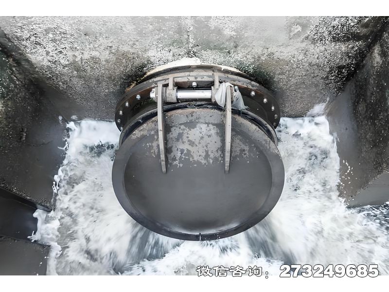 扎兰屯河道排水潮门拍门