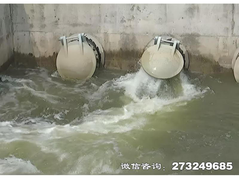扎兰屯河道生态护岸排水潮门拍门