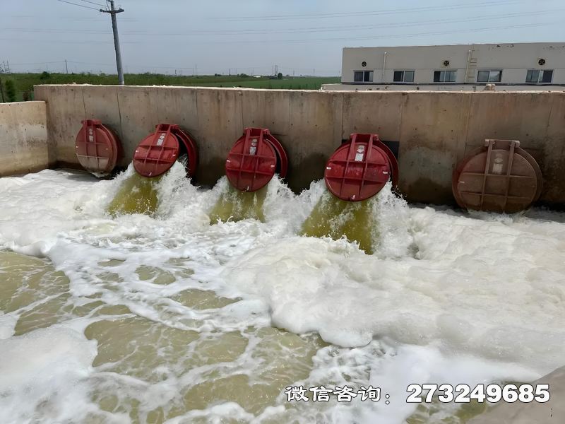 扎兰屯河口整治工程潮门拍门