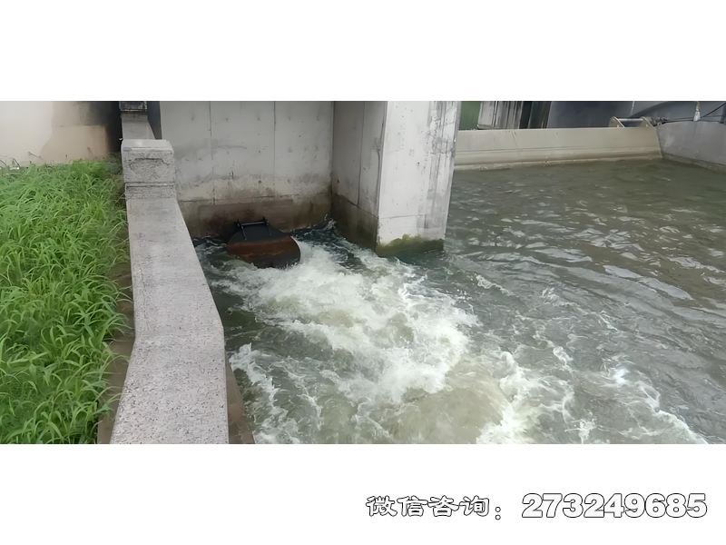 扎兰屯海塘防潮闸潮门拍门