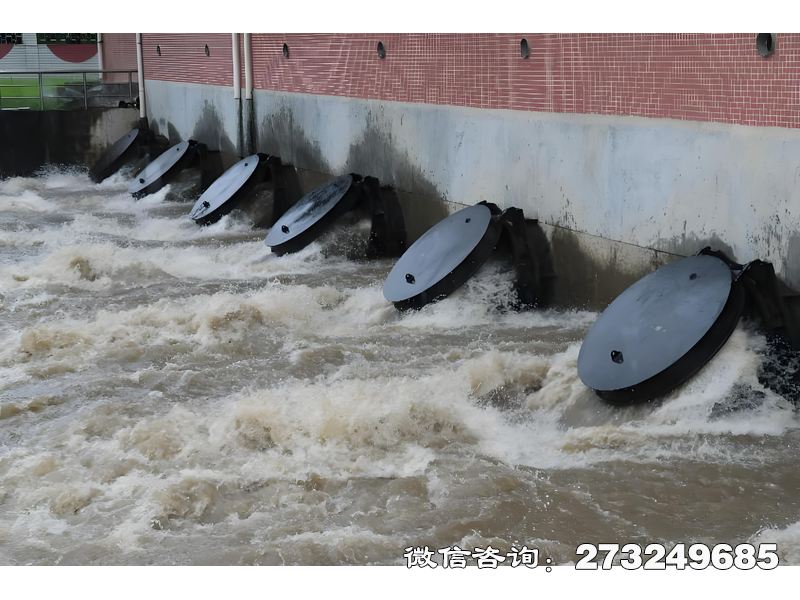 扎兰屯灌溉渠首水闸潮门拍门