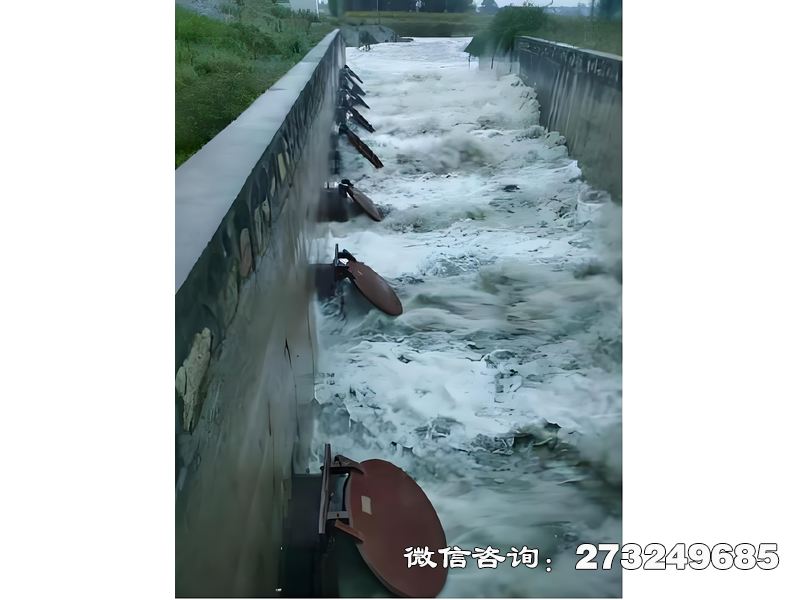 扎兰屯进出口潮门拍门