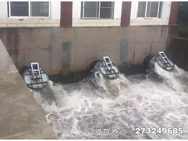 阳江潮汐能管道拍门