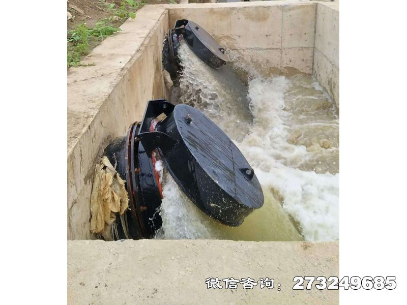 范县水库潮门拍门