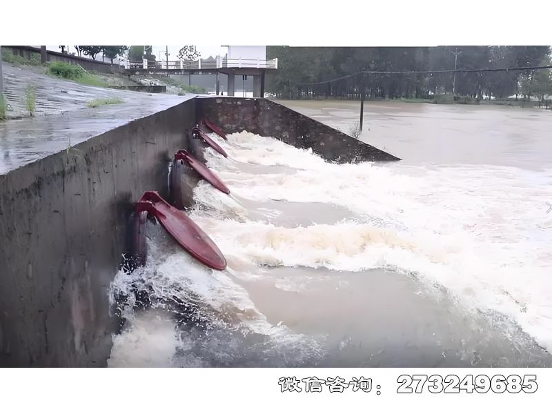范县城市排水系统潮门拍门