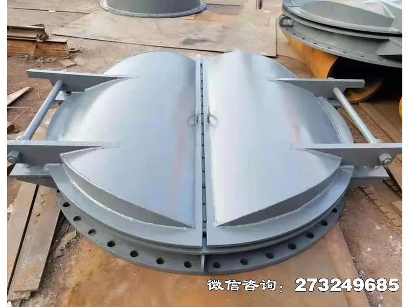 浈江防潮钢制海堤拍门