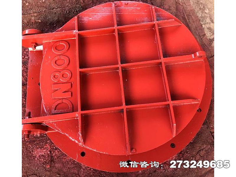 浈江止回钢制管道拍门