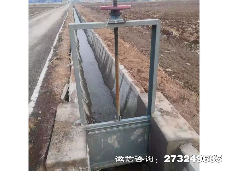抗磨钢制含沙闸门