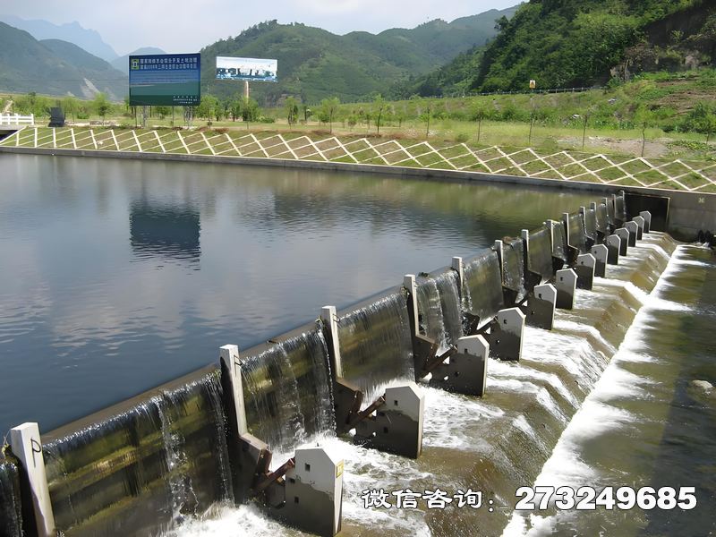 西市湖泊景观钢坝