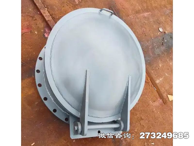 铸铁圆型防逆流拍门