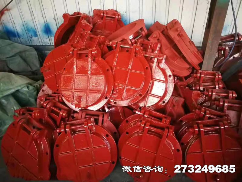 浈江铸铁圆形泵站拍门