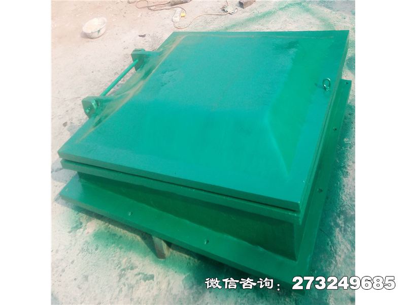 浈江铸铁方形排水拍门