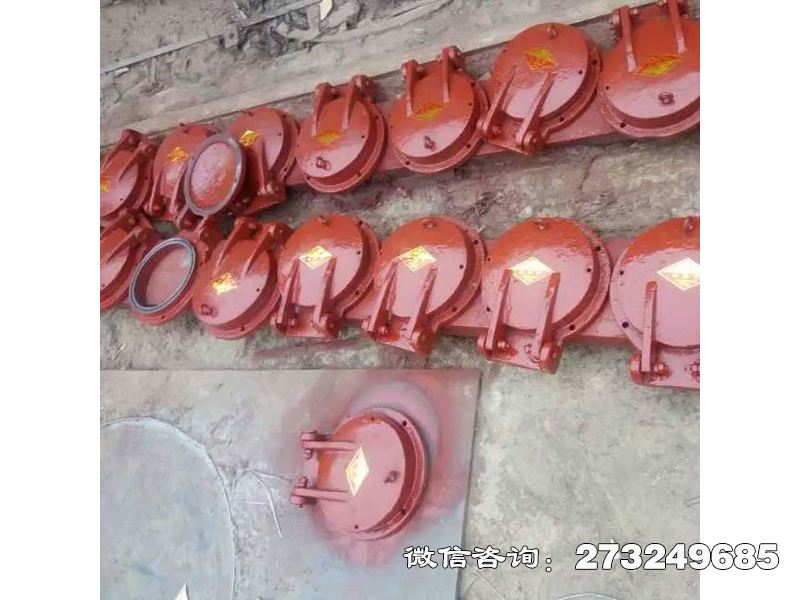 浈江铸铁圆形污水处理厂拍门