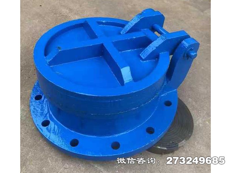 濮阳县铸铁圆型截污拍门