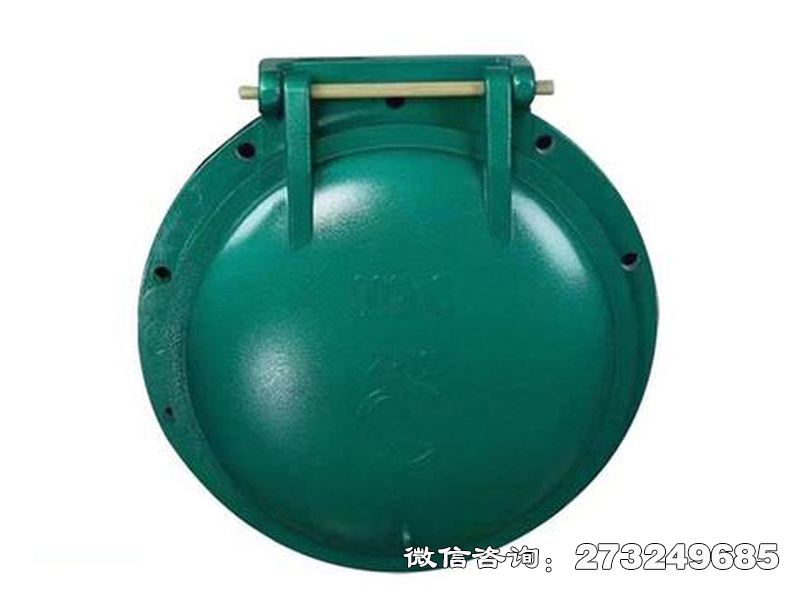 扎兰屯铸铁圆型潮汐防倒灌拍门