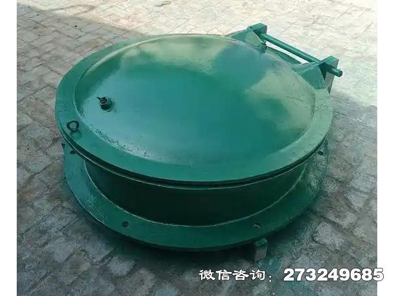 扎兰屯铸铁圆型一体化泵站拍门